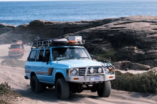 Endless Summer Blog Banner