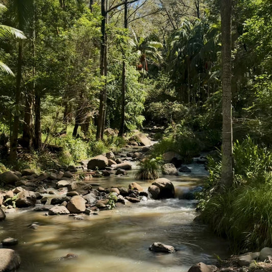 Gold Coast Hinterland