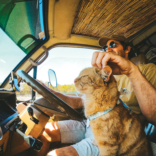 Van life tips