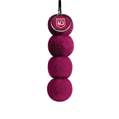 Smelly Balls QLD Maroons